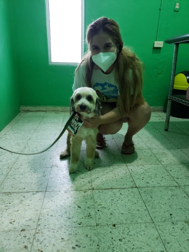 Second chances for stray dogs in Tela-Honduras