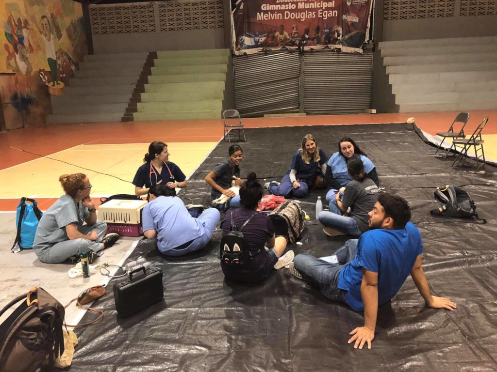 Second chances for stray dogs in Tela-Honduras