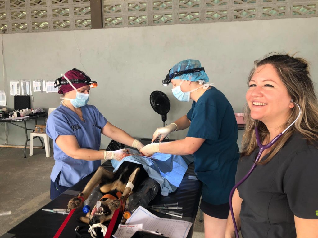 Second chances for stray dogs in Tela-Honduras