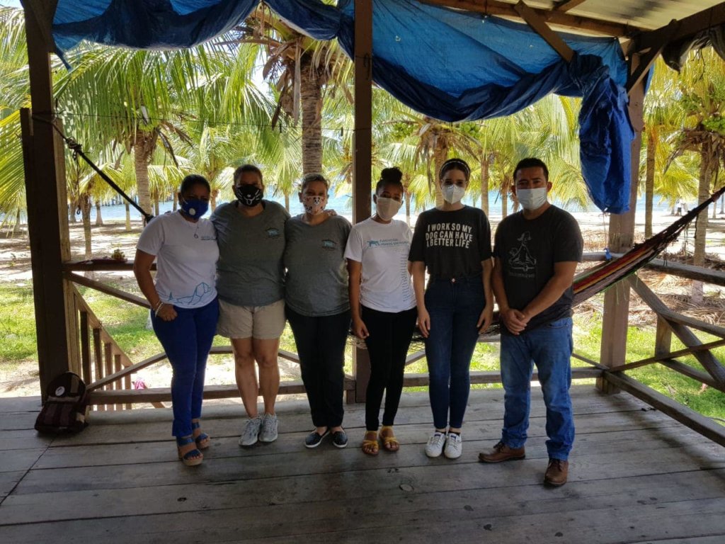 Second chances for stray dogs in Tela-Honduras