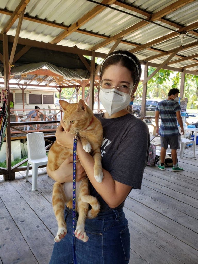 Second chances for stray dogs in Tela-Honduras
