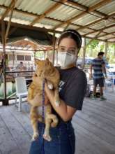 Clinic day