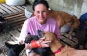 Second chances for stray dogs in Tela-Honduras