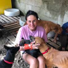 Second chances for stray dogs in Tela-Honduras