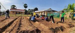 Planning and Planting