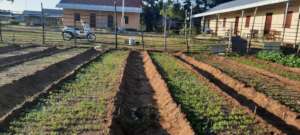 New growth - Skill Development in Agriculture