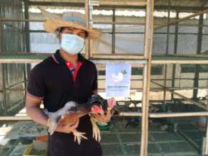 Chicken farming