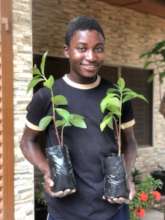 Restoring edible landscapes in Ghana