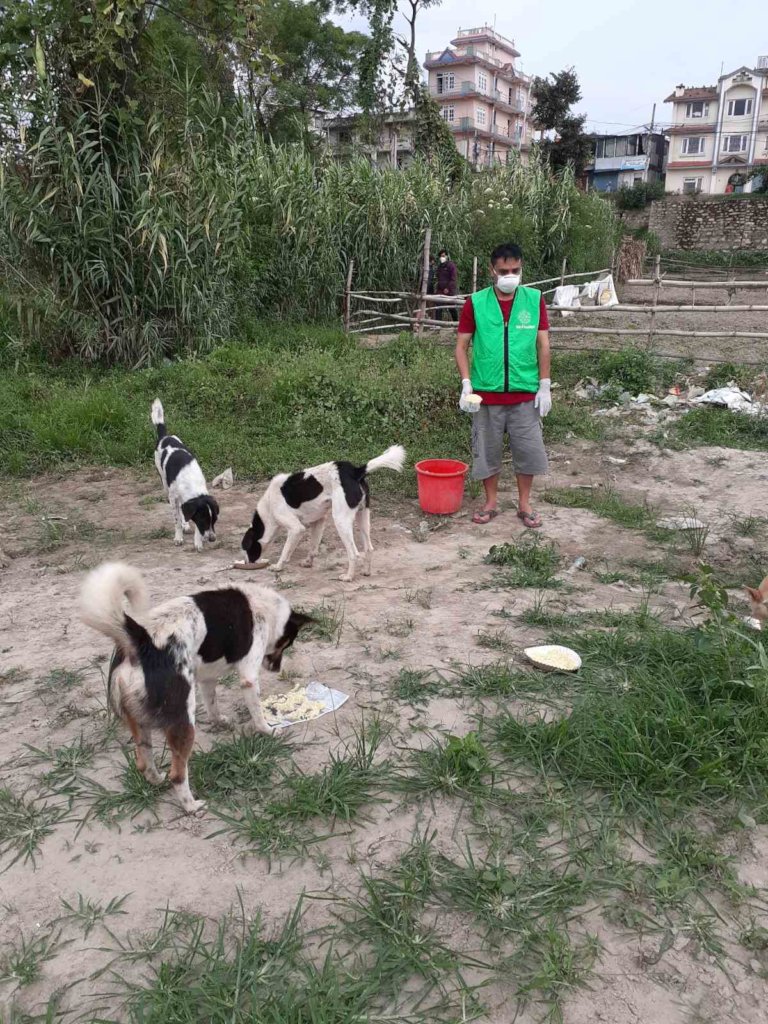 Help Us To Build Animal Treatment Centre in Nepal