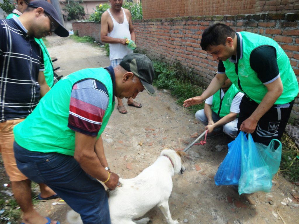 Help Us To Build Animal Treatment Centre in Nepal