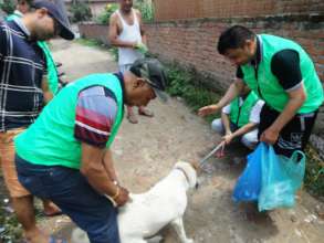 "Anti Rabies Vaccination program"