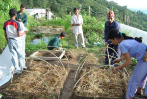 Maintaining Nursery