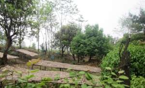 Nursery