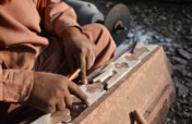 Sustainability Ambassador Program