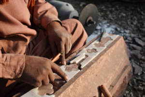 Sustainability Ambassador Program