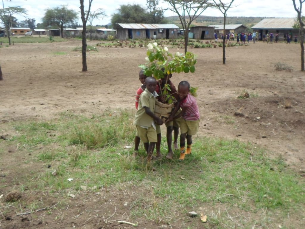 PLANTING OF TREES IN LAIKIPIA EAST
