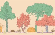 Build 10 Forest Gardens in Cape Town by Dec 2020