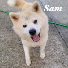 Sam - with a disability due to trauma