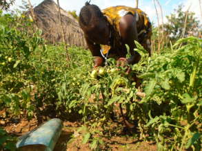 economically empower 125 idle youth in Madi Okollo