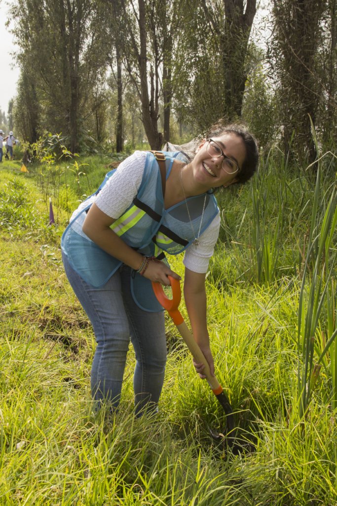 Create a refuge for the Axolotl in Xochimilco