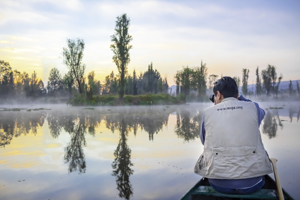 Create a refuge for the Axolotl in Xochimilco