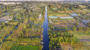 The Xochimilco wetland