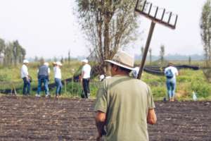 Working with the community