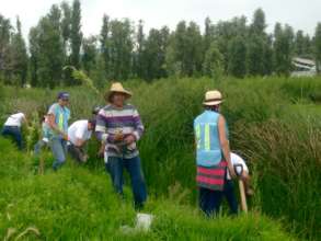 Don Chuy reforesting Xochimilco with the MOJA team