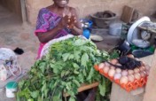 Feed 500 households in rural Nigeria