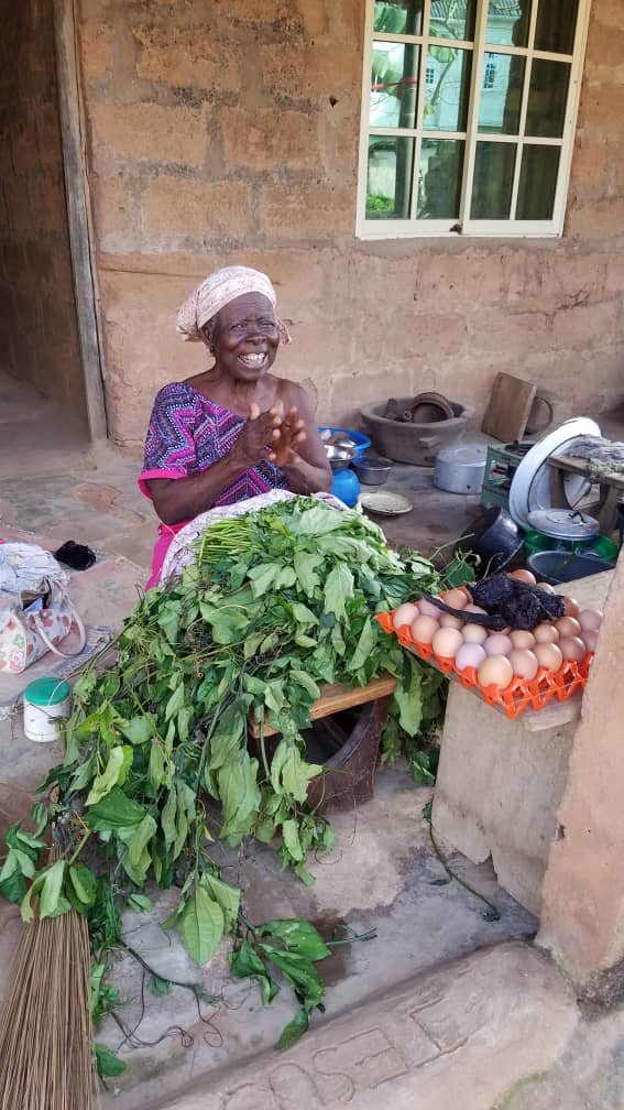Feed 500 households in rural Nigeria