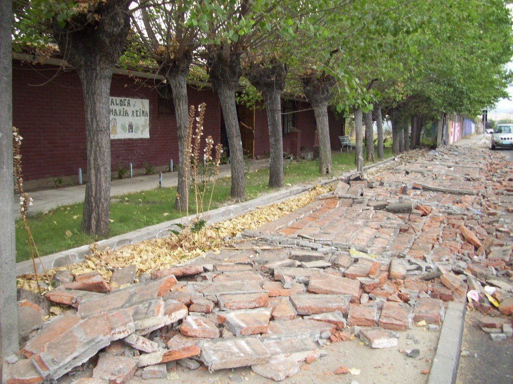 Earthquake Reconstruction for At-Risk Children