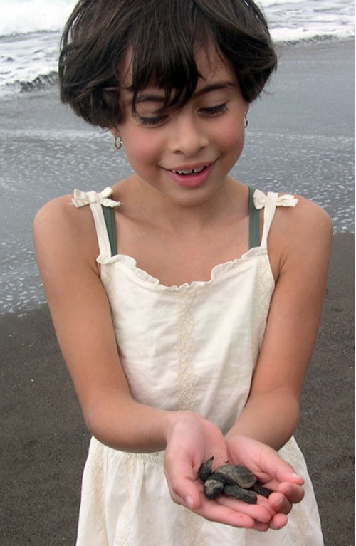Helping the Olive Ridley Turtles, Costa Rica