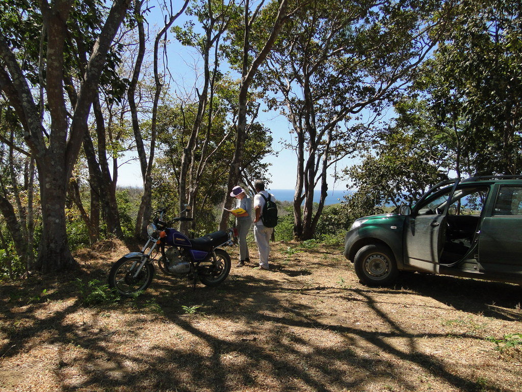 Helping the Olive Ridley Turtles, Costa Rica