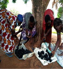 Women selling briquettes to two buyers.