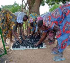 Drying Briquettes