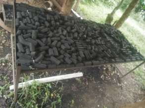 briquettes in a tray to be taken to drying shade