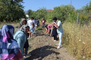 Learning how to plant a permaculture garden