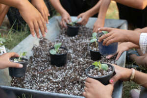 Soil is Life