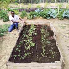 Brian vey proud of his first raised bed ever
