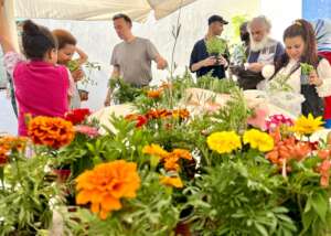 Colourful urban agriculture course in Athens