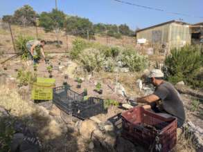 Planting flowers at EcoHub in June