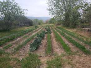 Working in the back field
