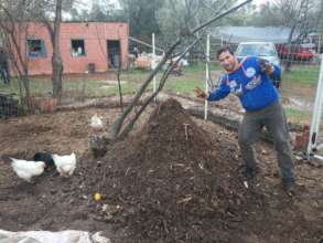 Our intern Fara turning compost with the chickens