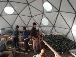 Preparing seedlings in the small dome