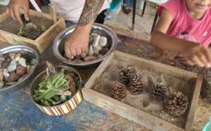 Building zen gardens with kids in the greenhouse