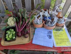 Veggie and herb distribution in EcoHub