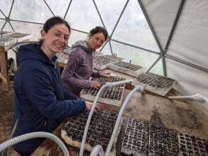 Planting seeds for summer
