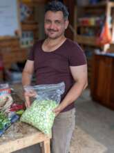 Broadbean harvest, ready for distribution!