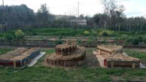 New raised beds