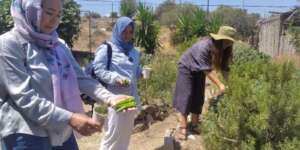 EcoHub learning activity